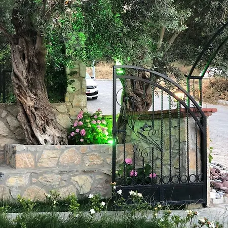 Pharos * Datça