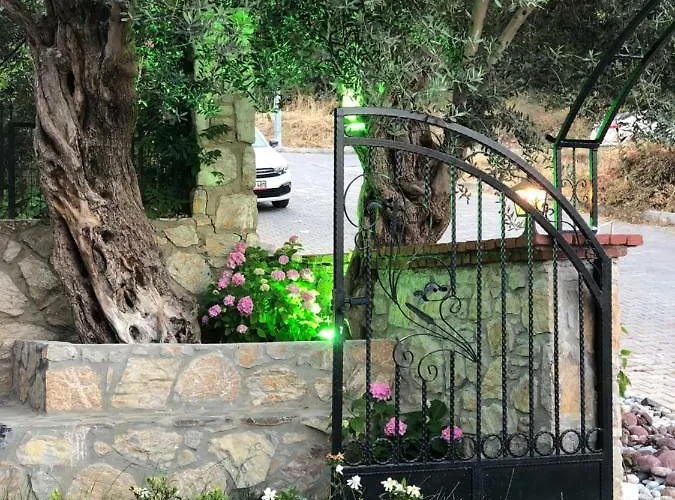 Pharos * داتْشا